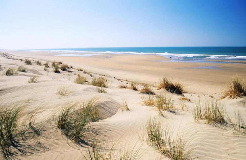 l'Echo des Vagues photo 3