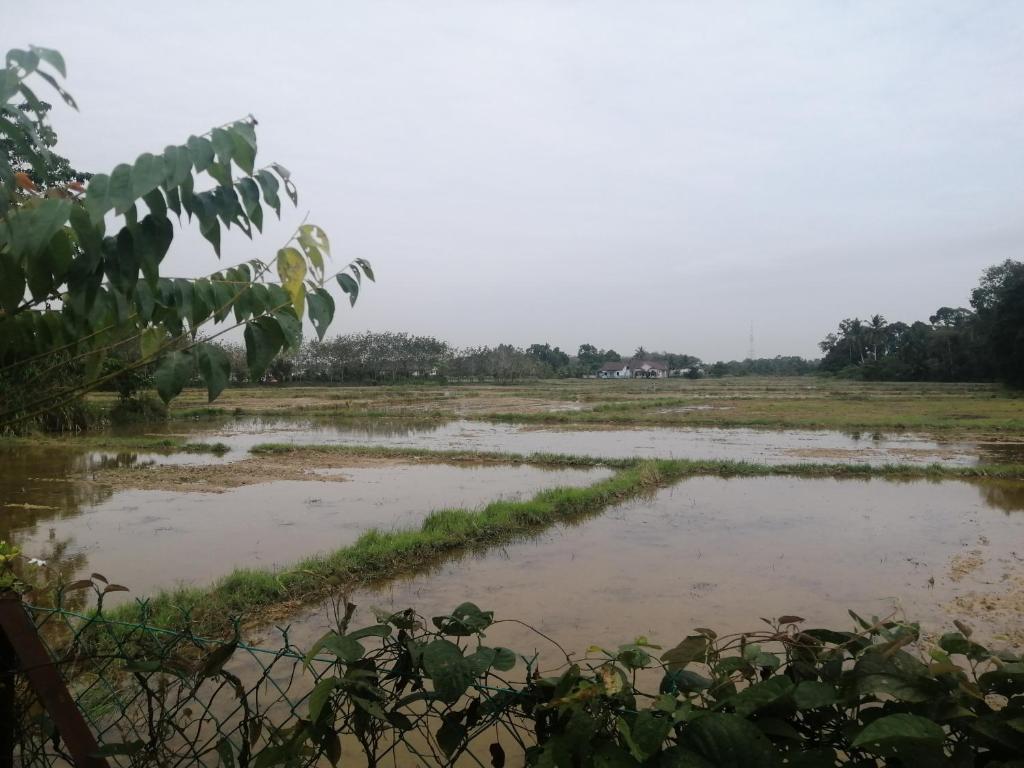 Homestay Insan photo 2