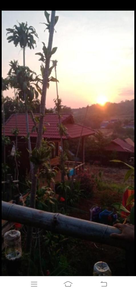 Happy bungalow & trekking photo 1