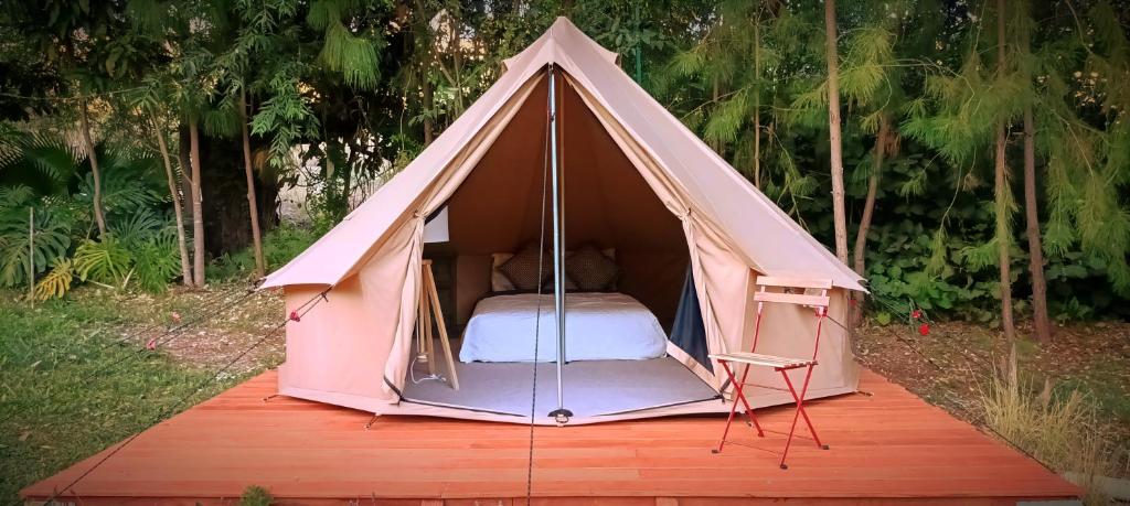 Cocuyo Glamping photo 2