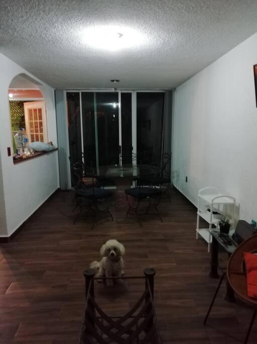 CASA EN CONDOMINIO CON ALBERCA EN CUAUTLA MORELOS photo 3
