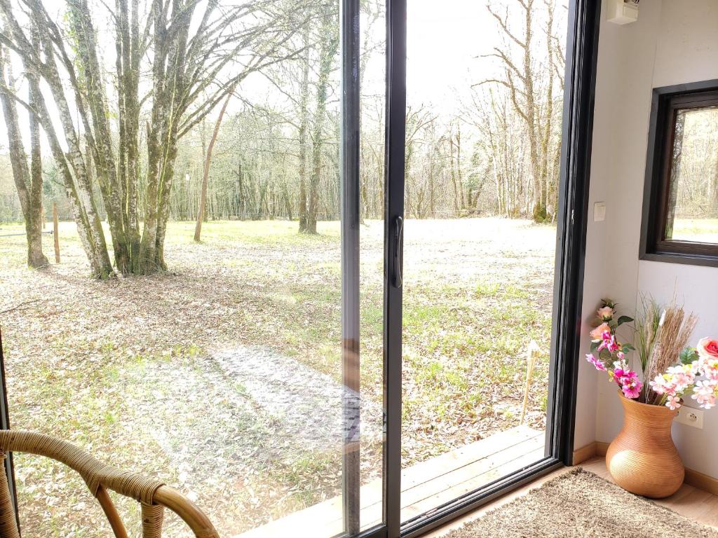 Chambre en foret photo 4