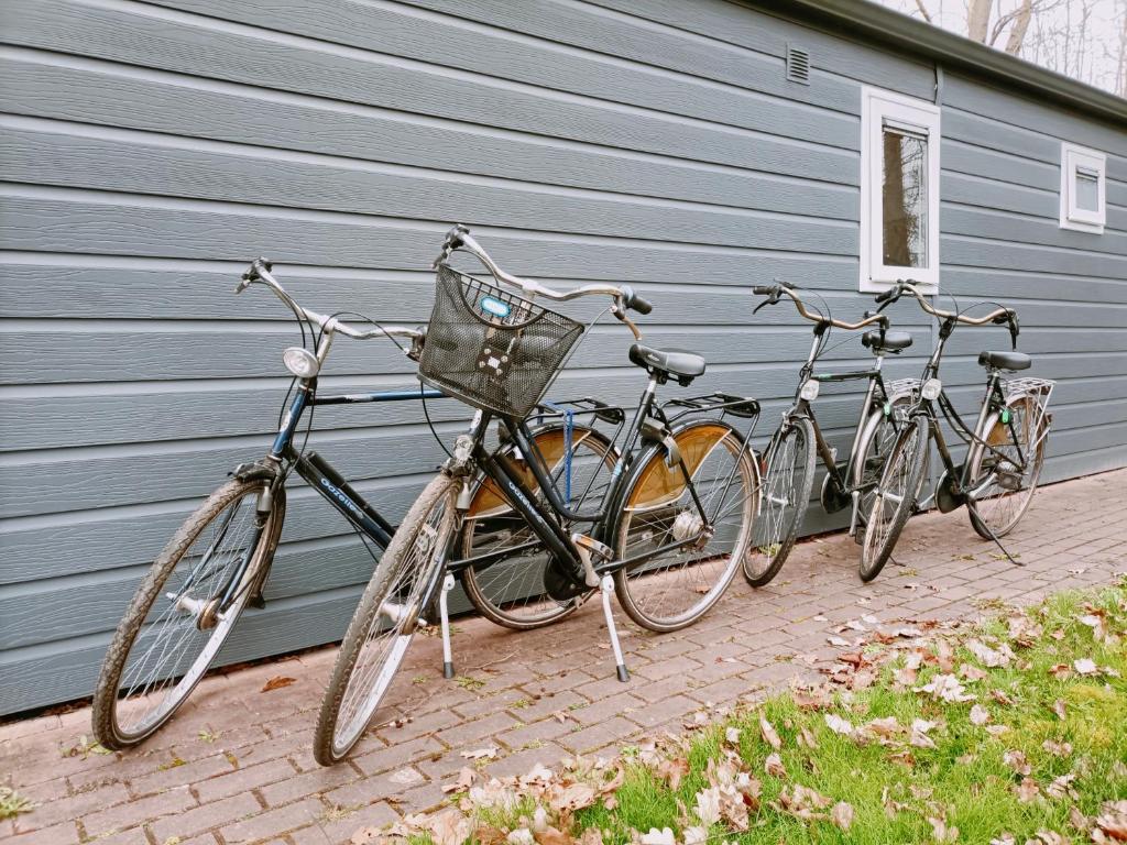 4p chalet TOLVE met 4 fietsen vlakbij natuurgebieden Drents Friese Wold, Fochteloërveen en gevangenisdorp Veenhuizen photo 2