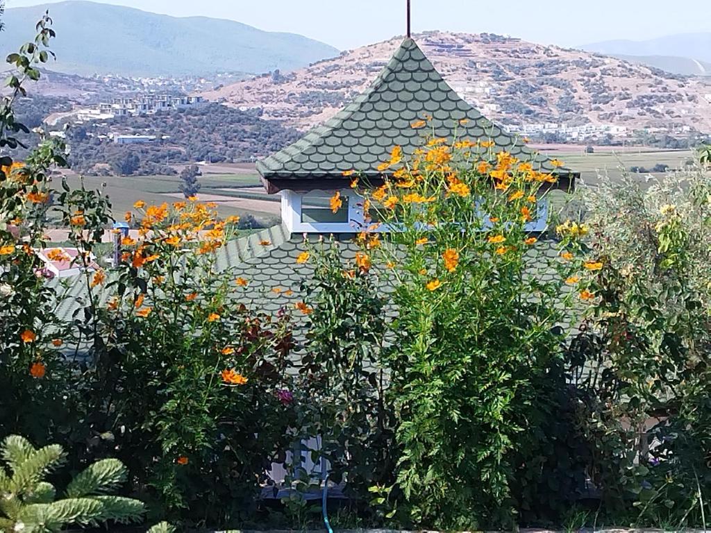 Olive Garden Retreat