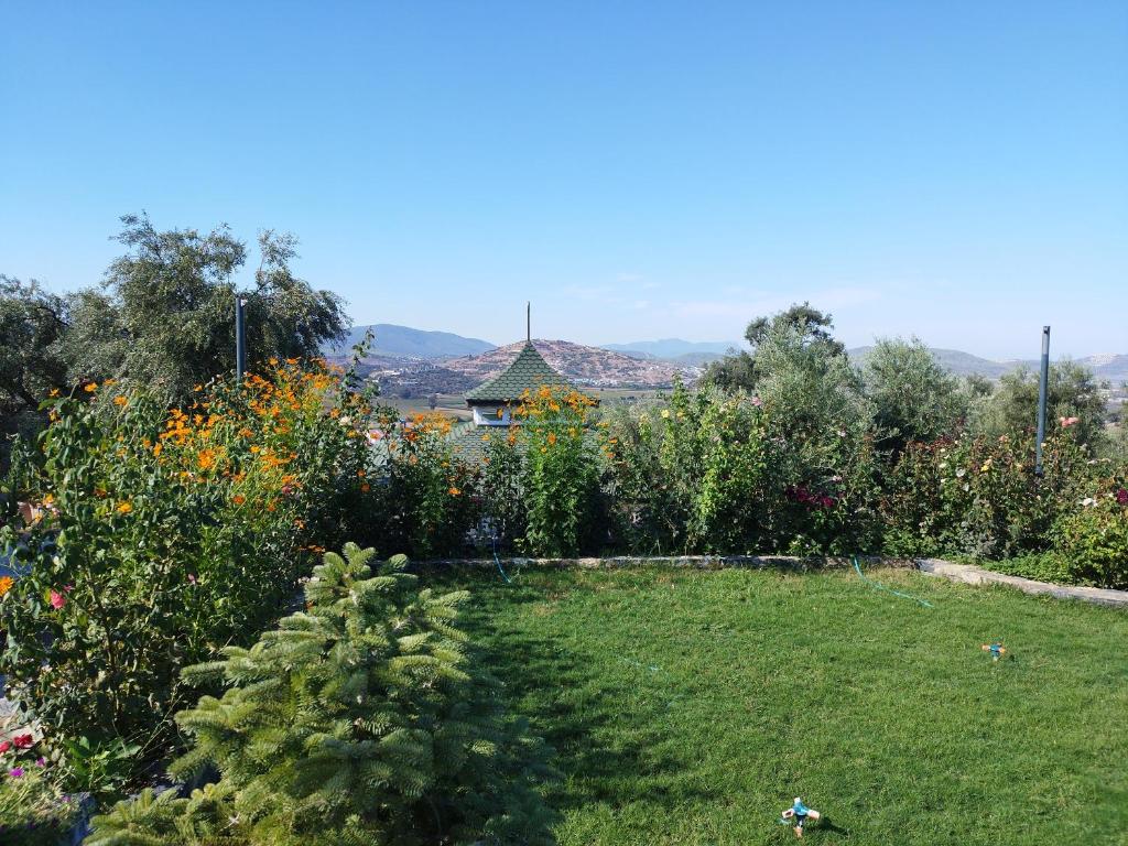 Olive Garden Retreat photo 1
