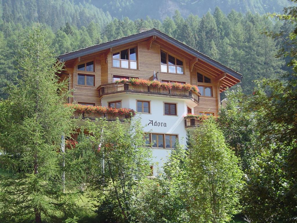 Alpina photo 1