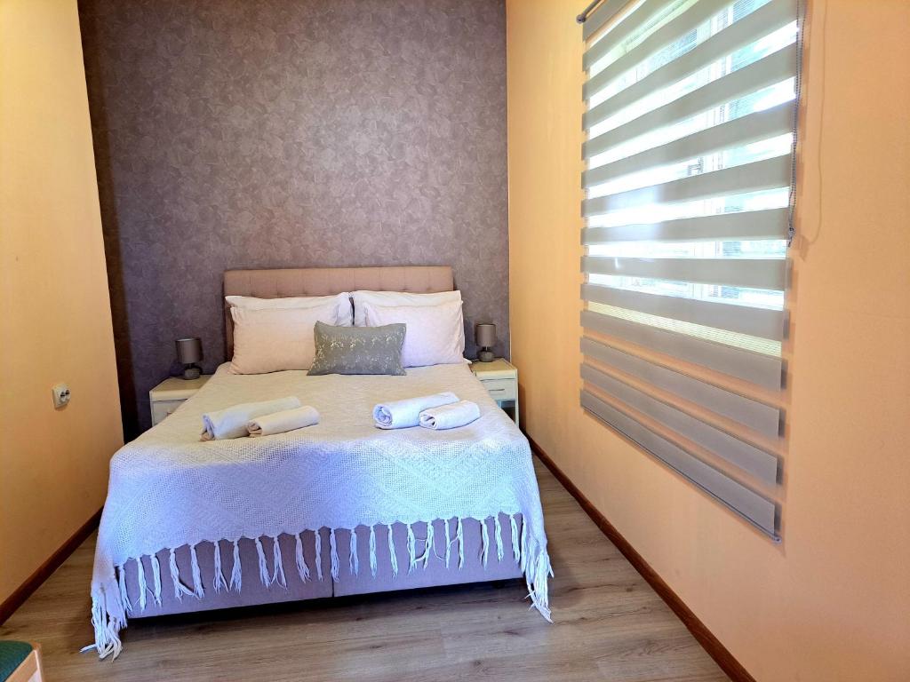 Sobe Apartmani Svitlana photo 1