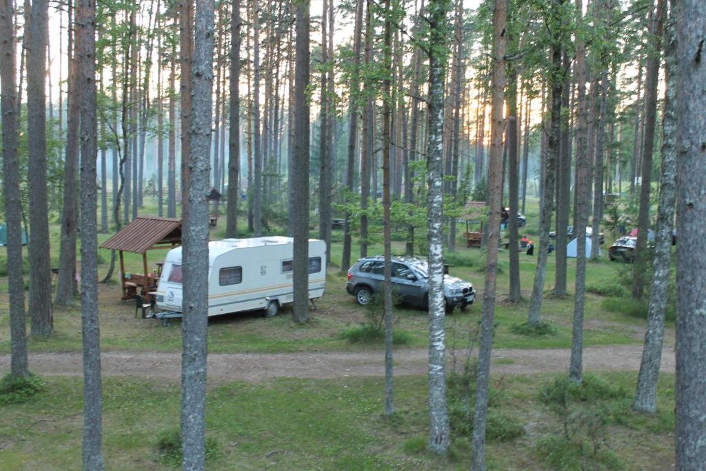 Kauksi Campsite photo 1