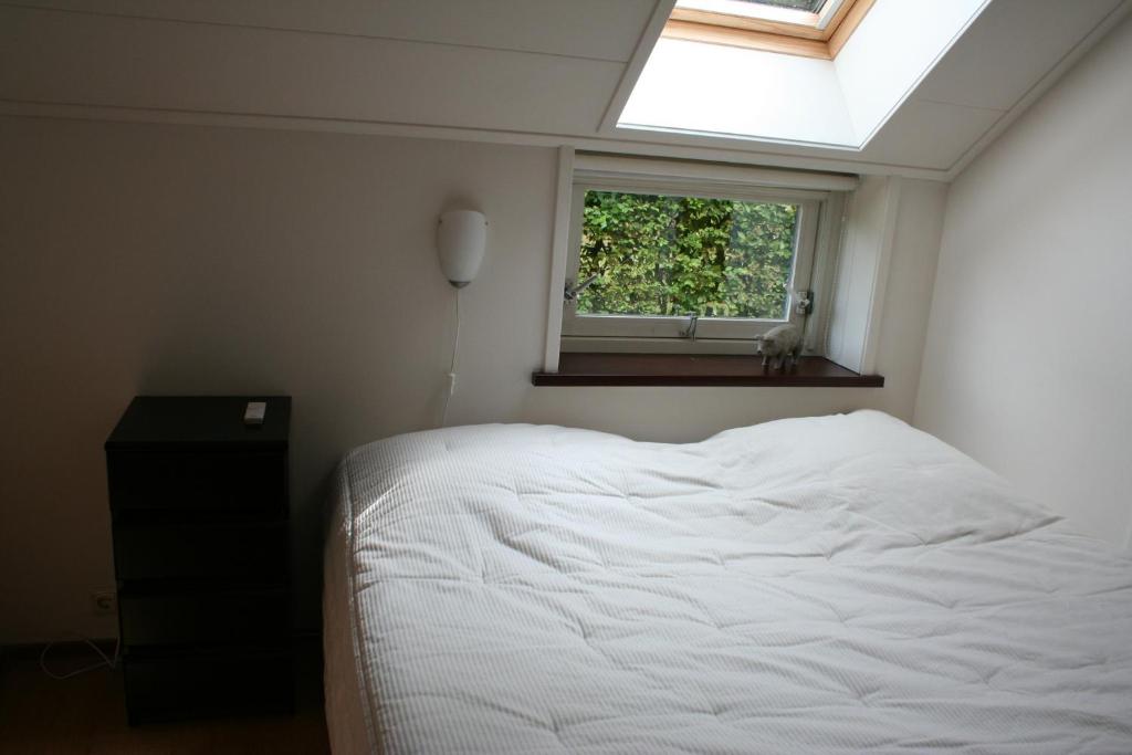 Bed & Breakfast Ter Borg photo 3