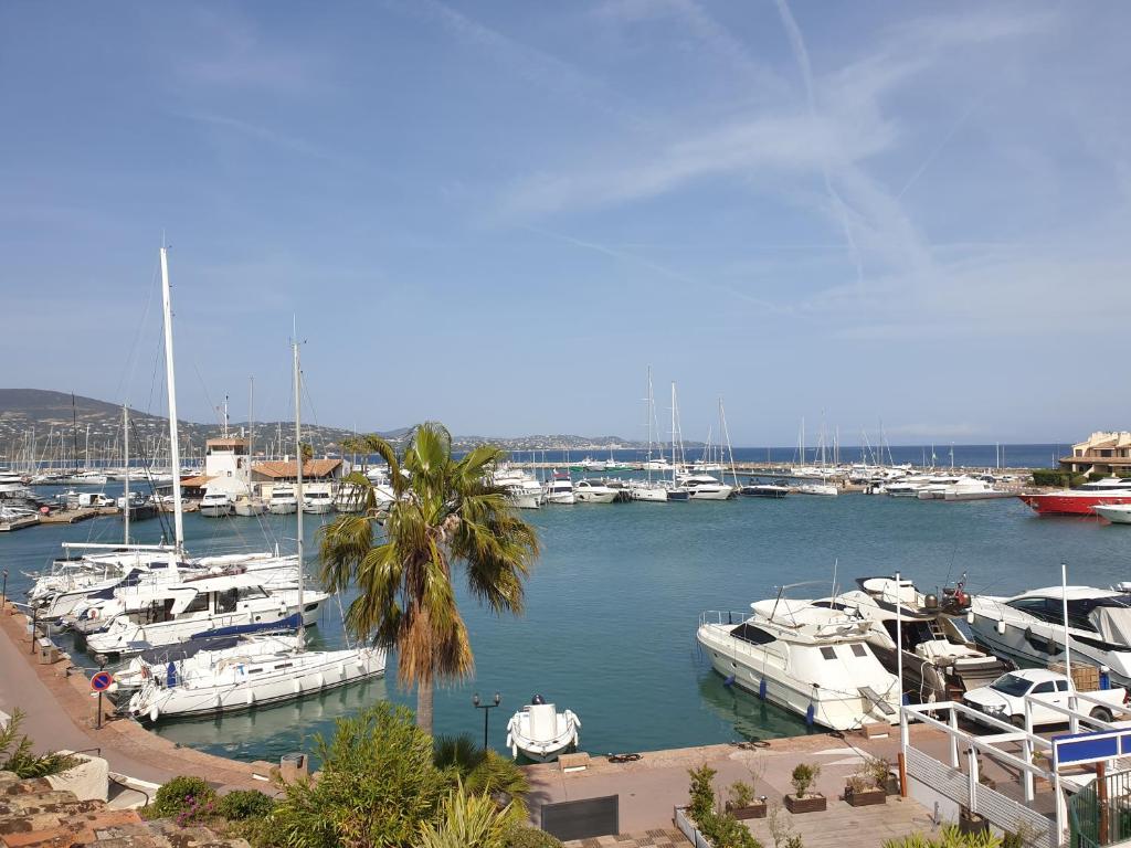 Superbe 2 chambres vue port et mer 100 mètres plage photo 1