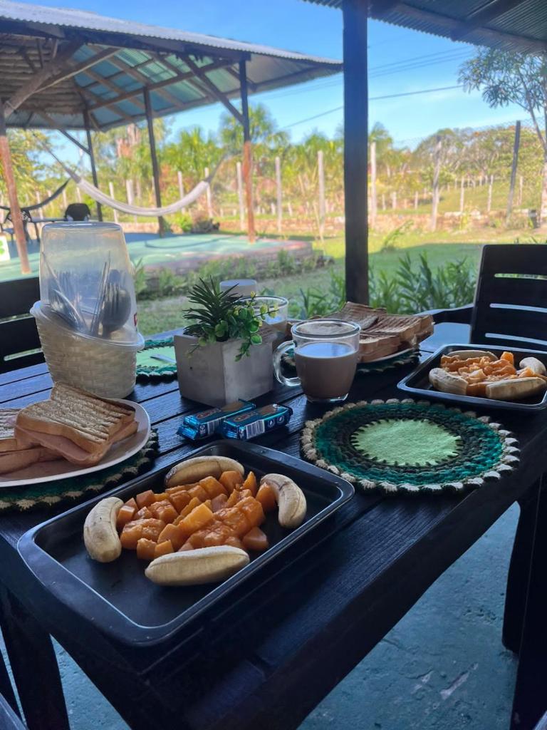 Glamping Amazonas photo 1