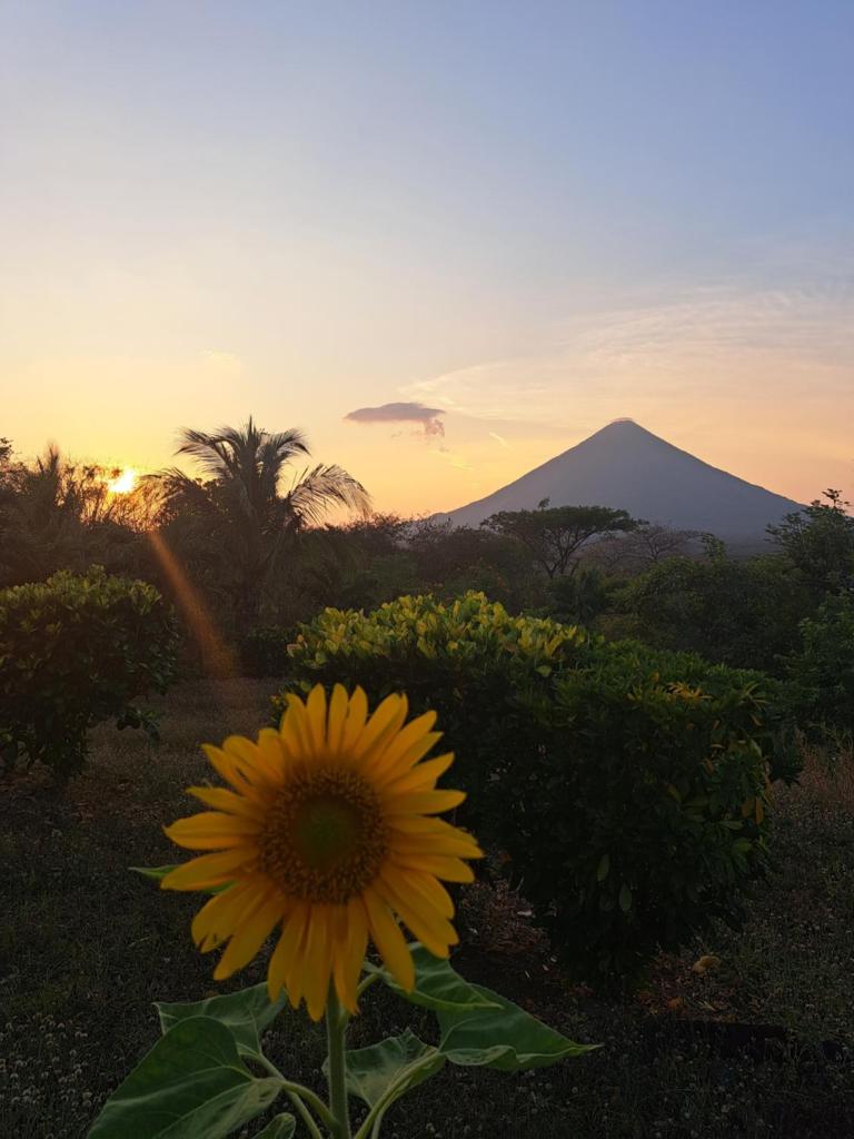Hostel Santa Cruz Ometepe photo 3