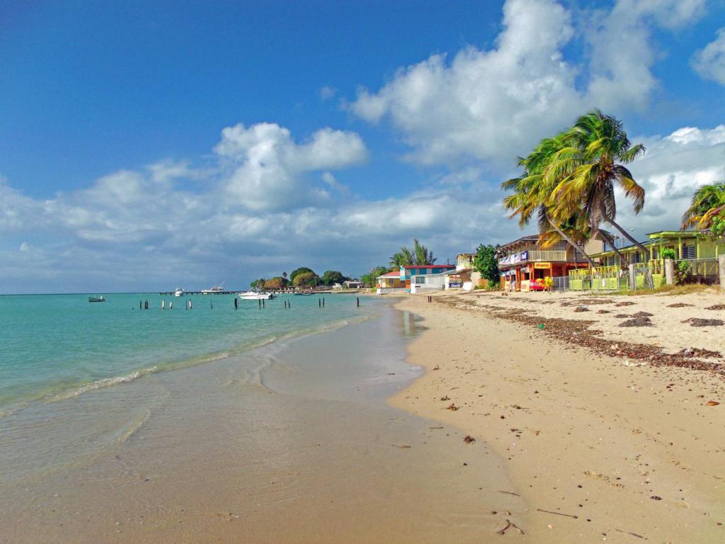 MAVS COMBATE BEACH CLUB photo 1