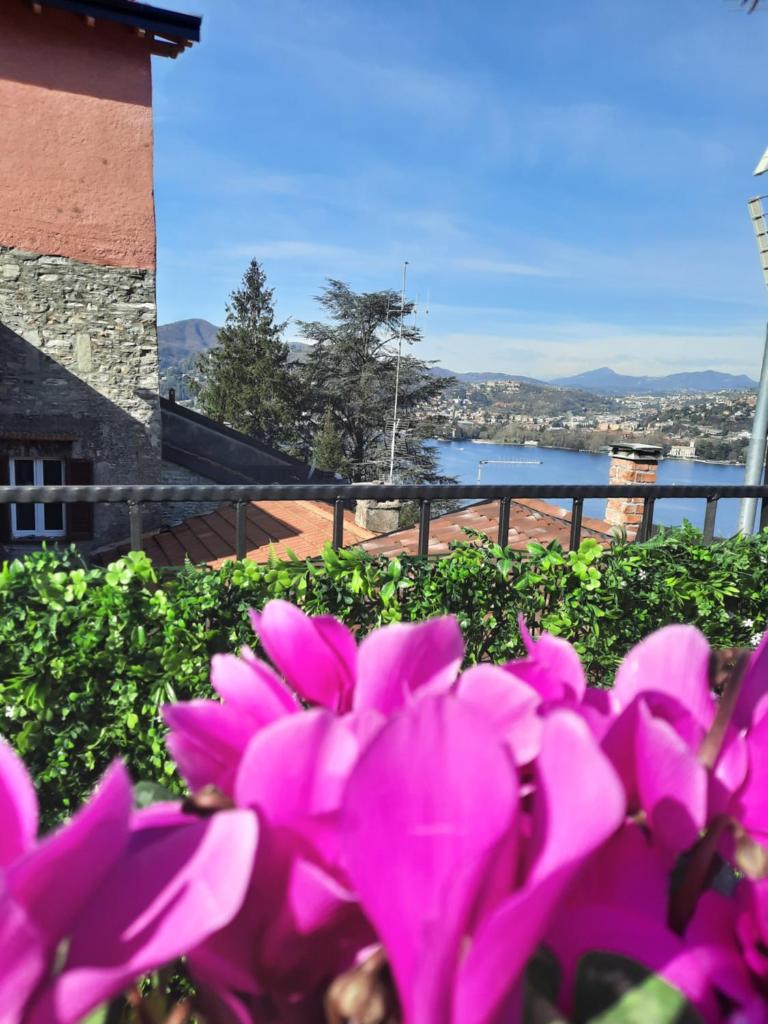 Luxury Room La Terrazza sul Lago di Como