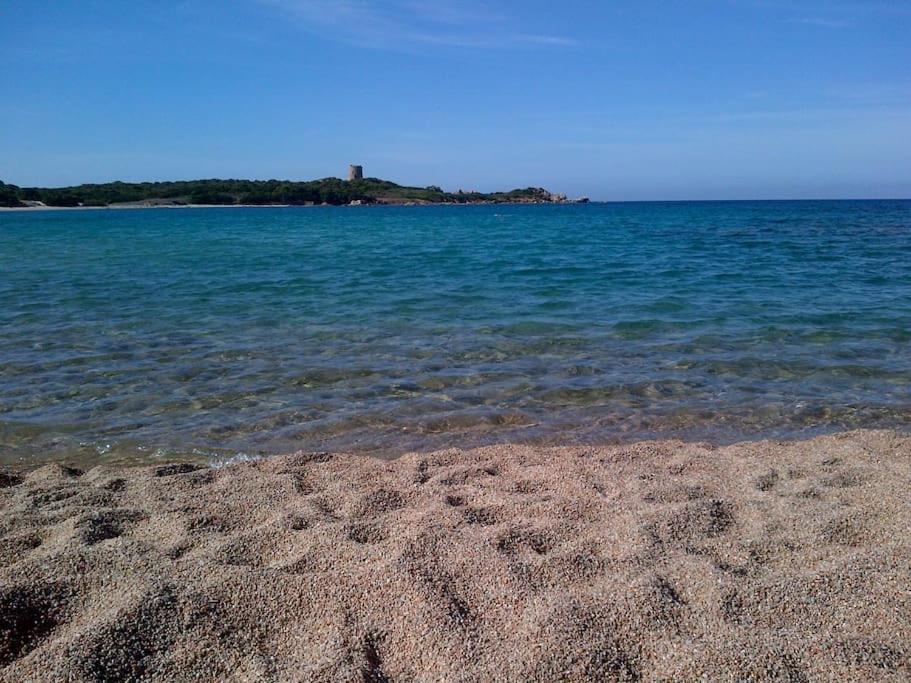 Trilocale in Gallura Villaggio piscina 400m mare photo 1