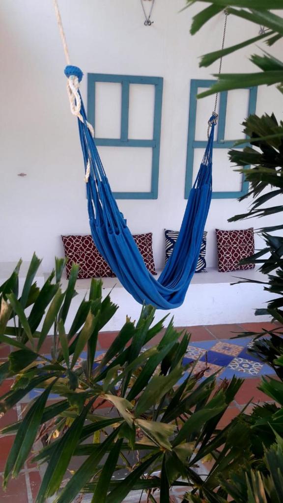 Casa Antonella - Sabanas de Bonda photo 4