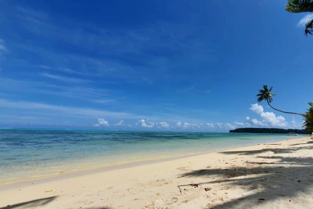 Auti studio direct access to the beach on Moorea with AC -WiFi - Netflix photo 4