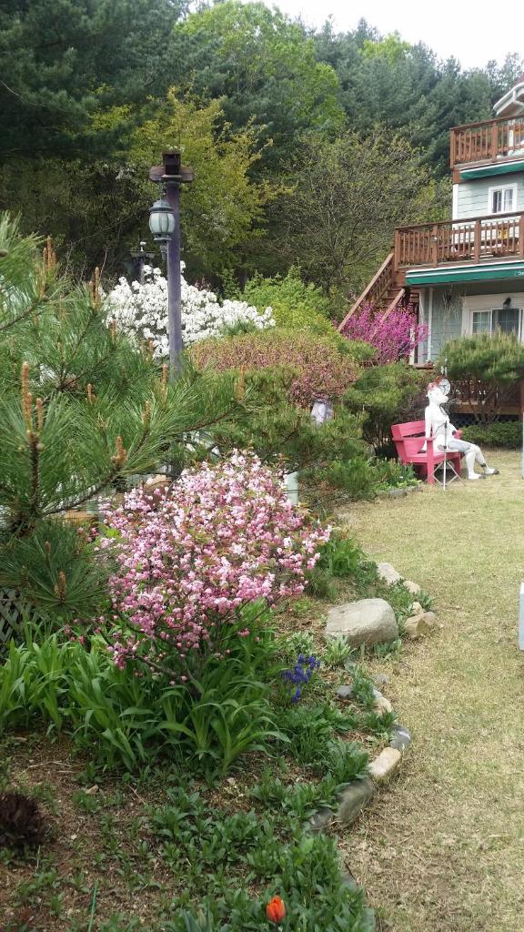 Olive Vanilla Pension photo 4