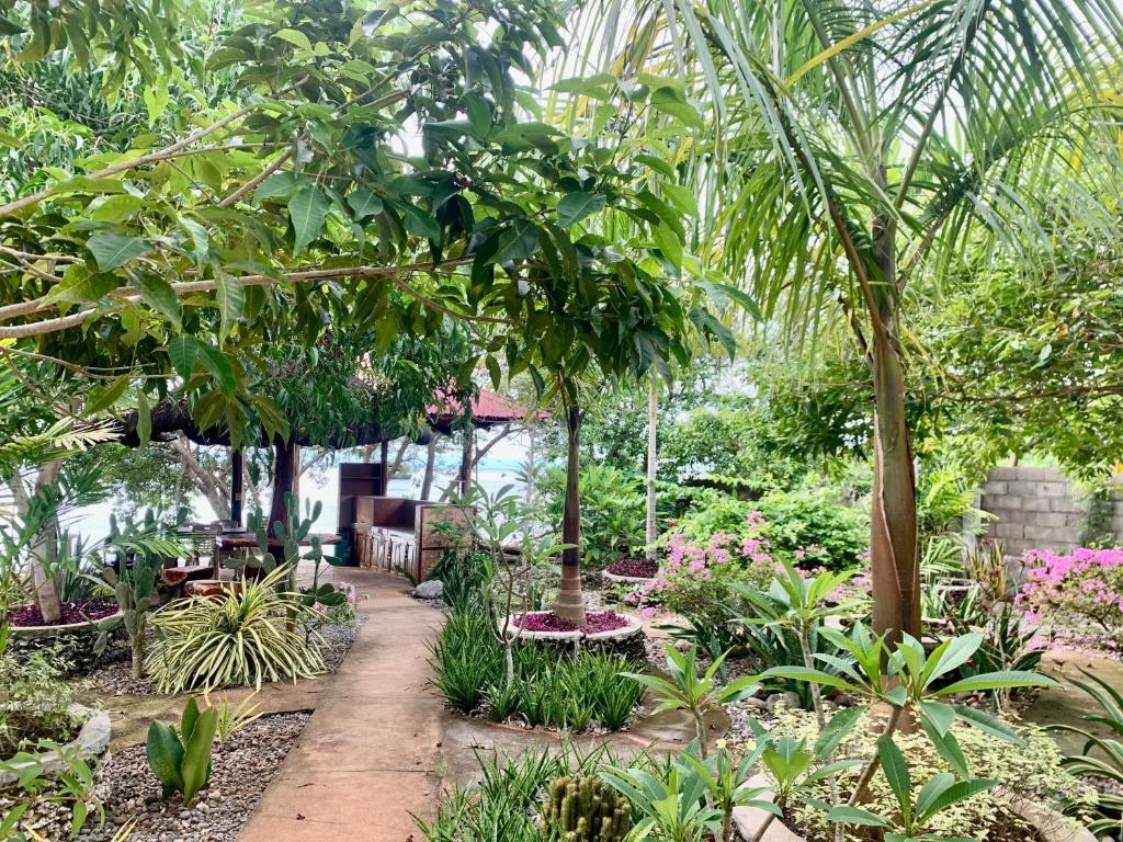 Adayo Cove Resort photo 3