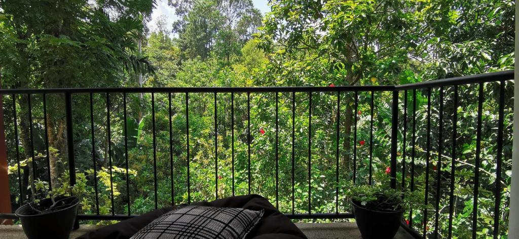 Tantra Ella Lodge photo 1