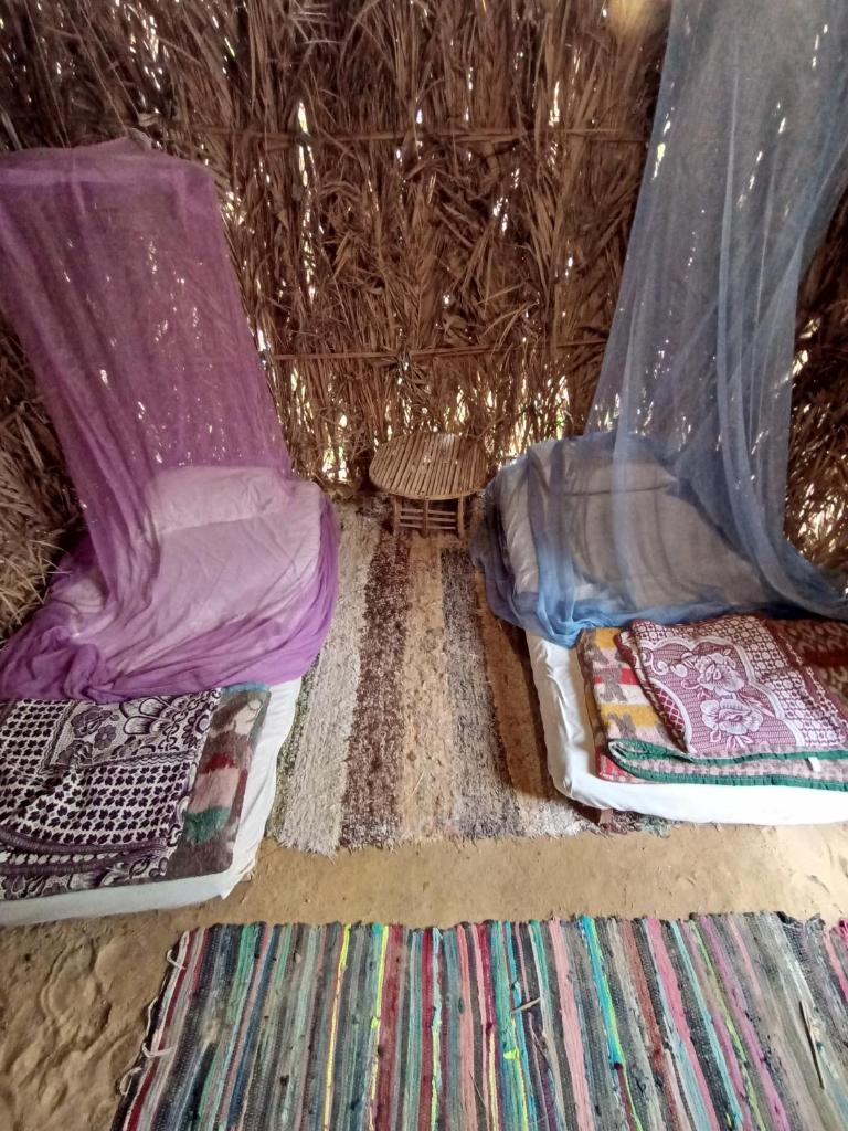 Forest Camp Siwa - كامب الغابة photo 1