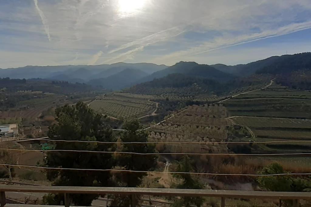 Ca l'Aleixa photo 1
