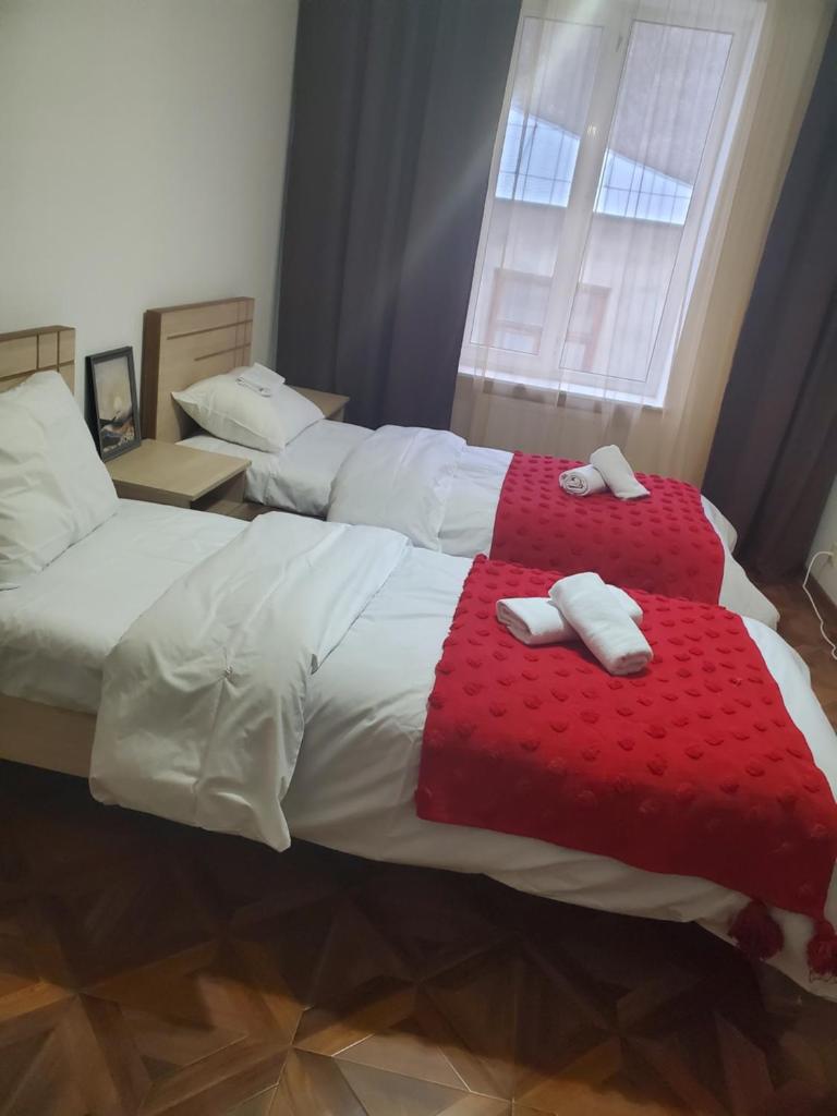 DIOSKURIA BORJOMi photo 3