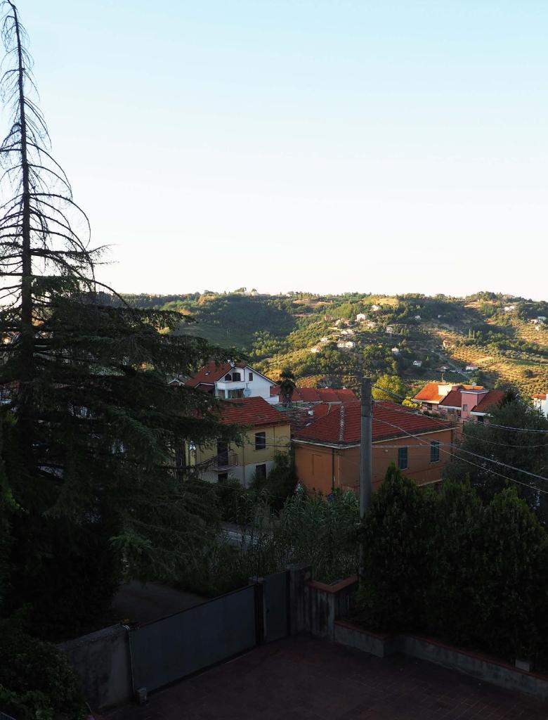 Picena 177 photo 1