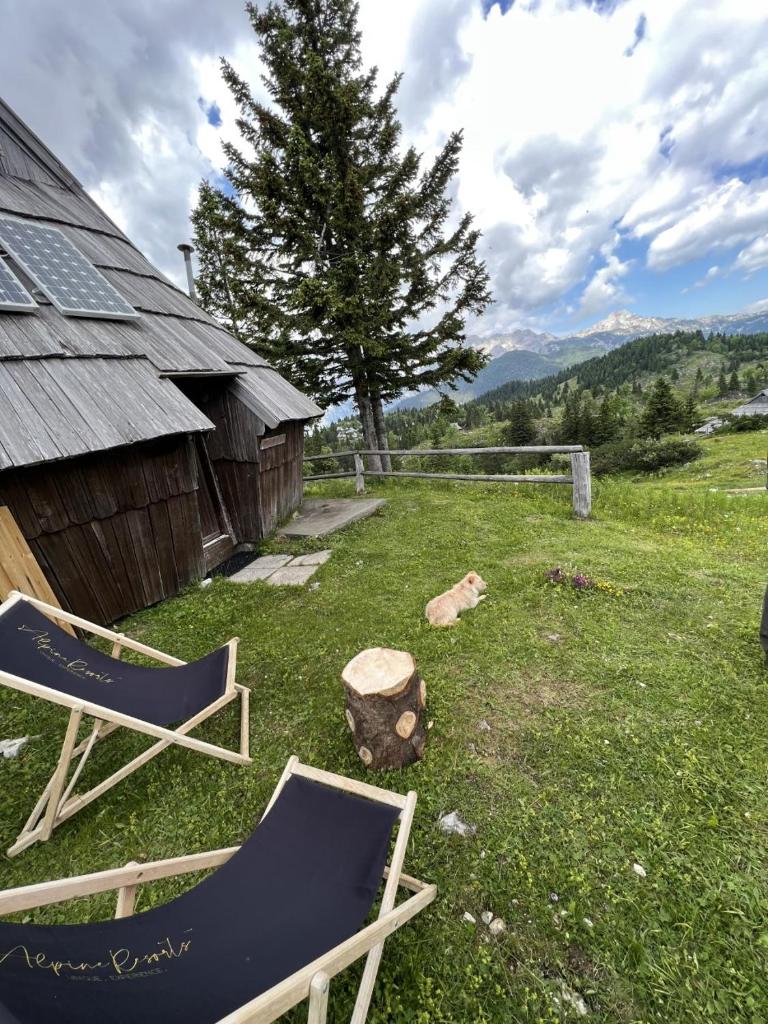 Chalet Korosica Velika Planina photo 2