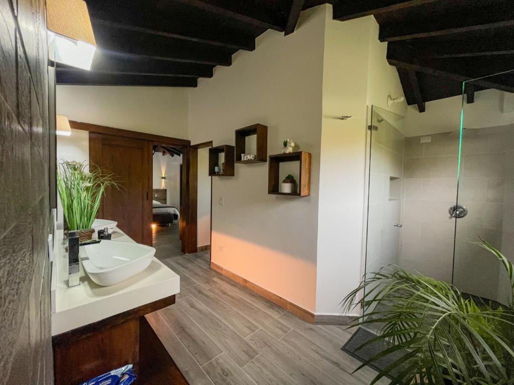 VILLA CLAUDIA photo 3