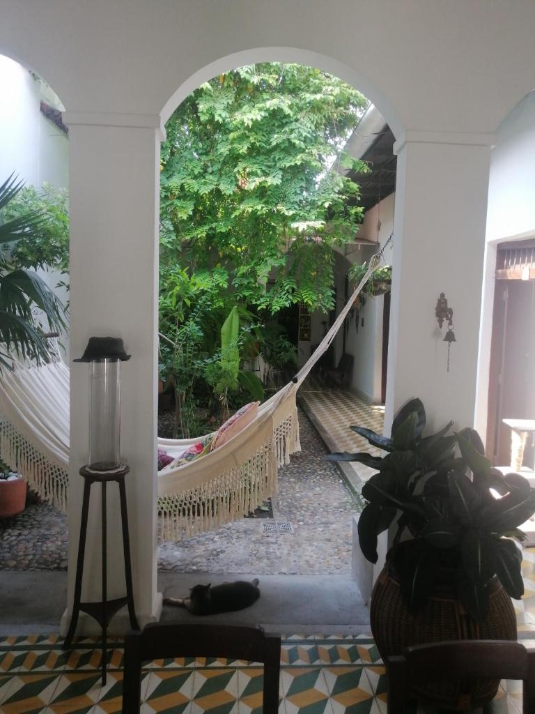 Casa Paraiso photo 2