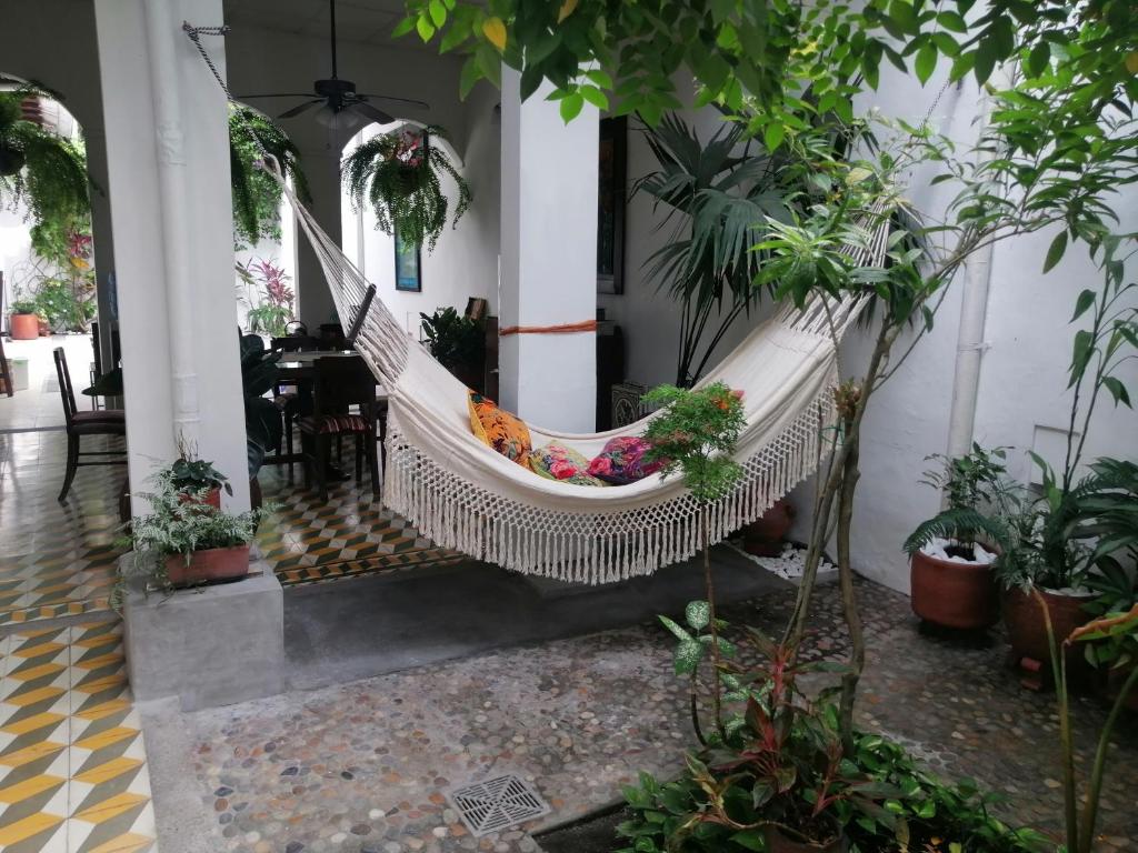 Casa Paraiso photo 4