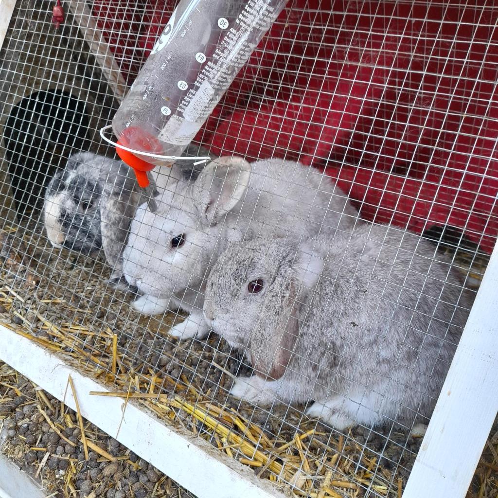 Apartmán Na Výsluní photo 2