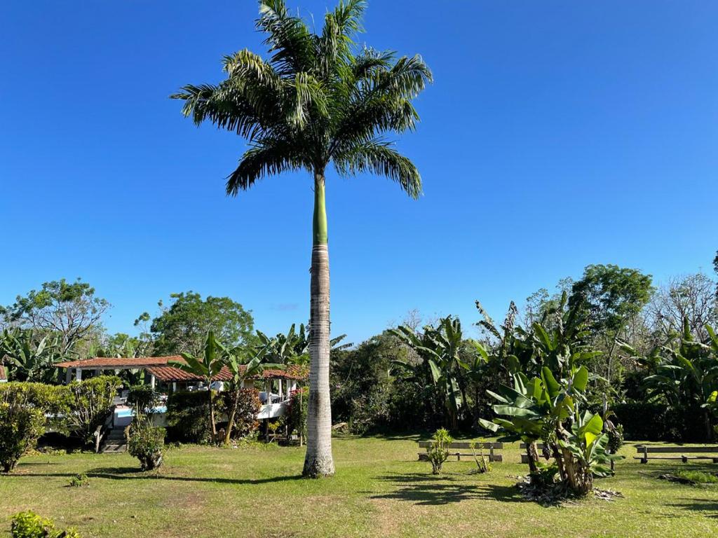 Enchanted Galapagos Lodge photo 3