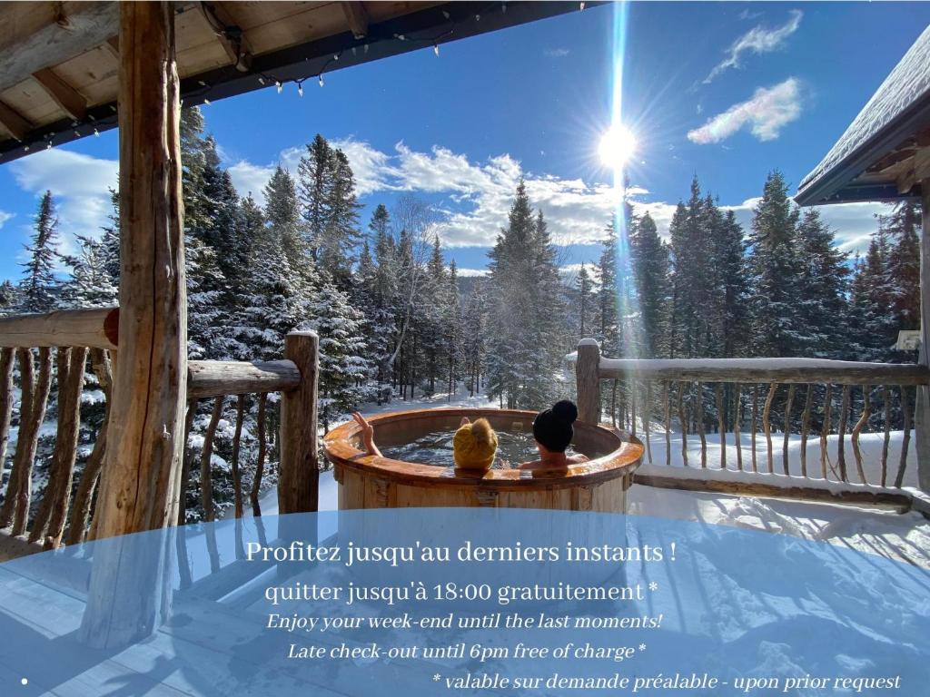 WAPITI - Chalets de Môh - Jacuzzi photo 3