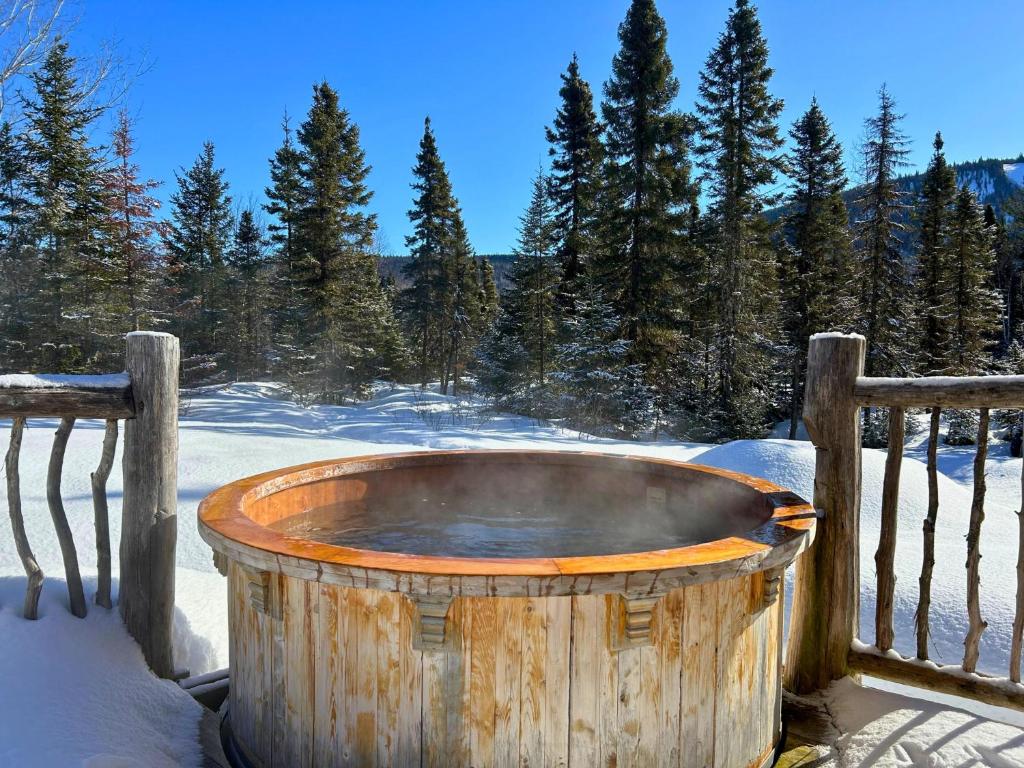 WAPITI - Chalets de Môh - Jacuzzi photo 2