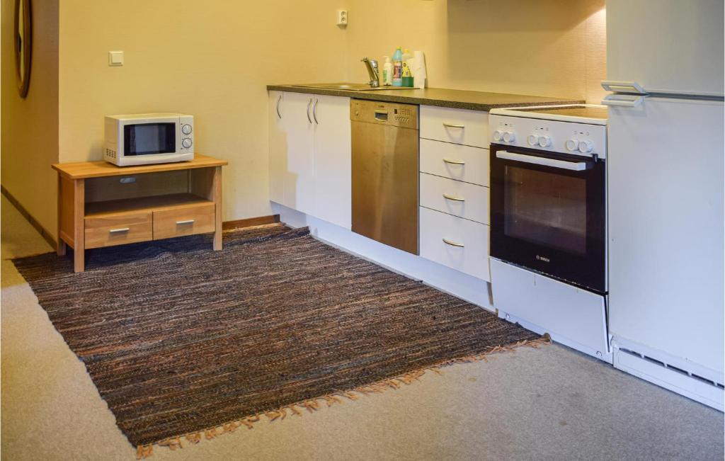 Hovden Alpin Apartments photo 1
