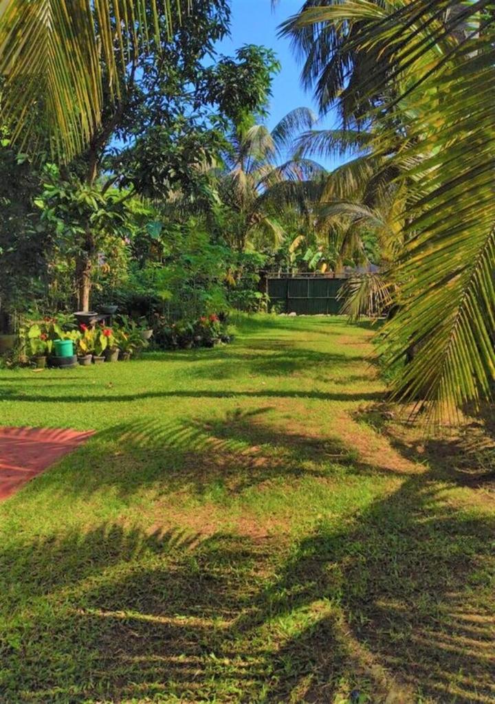 Hanthane.Lk photo 4