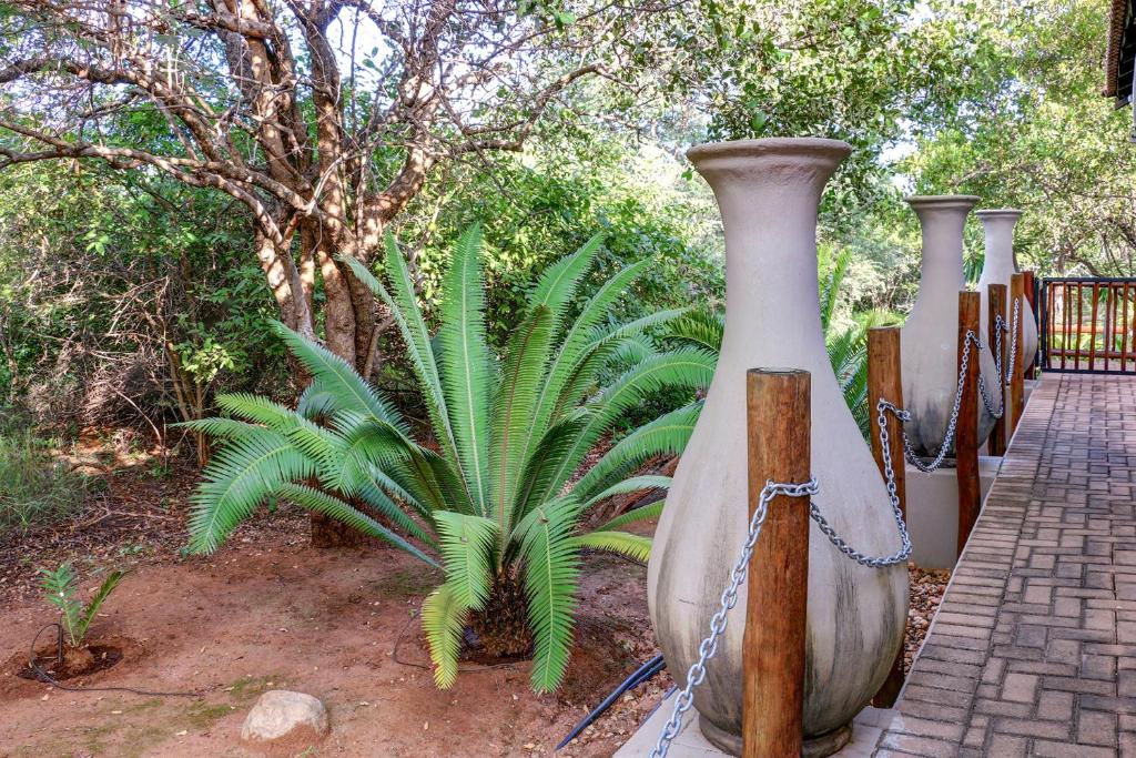 Mawusi Bush Lodge photo 4