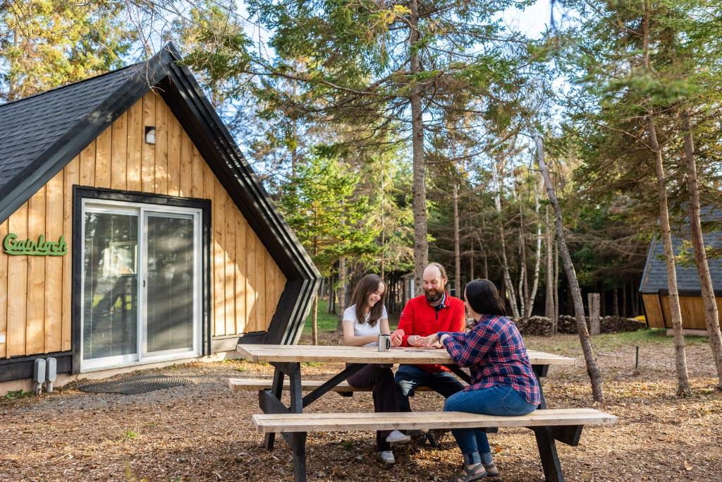 Wild Pines Cabins photo 4