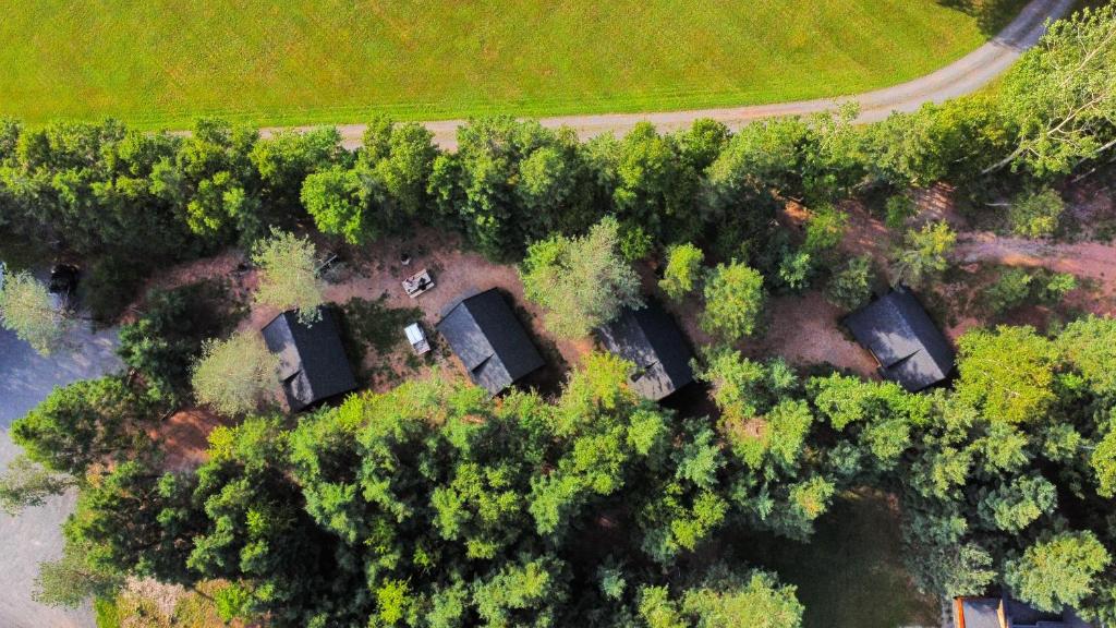 Wild Pines Cabins - Tap to explore photos