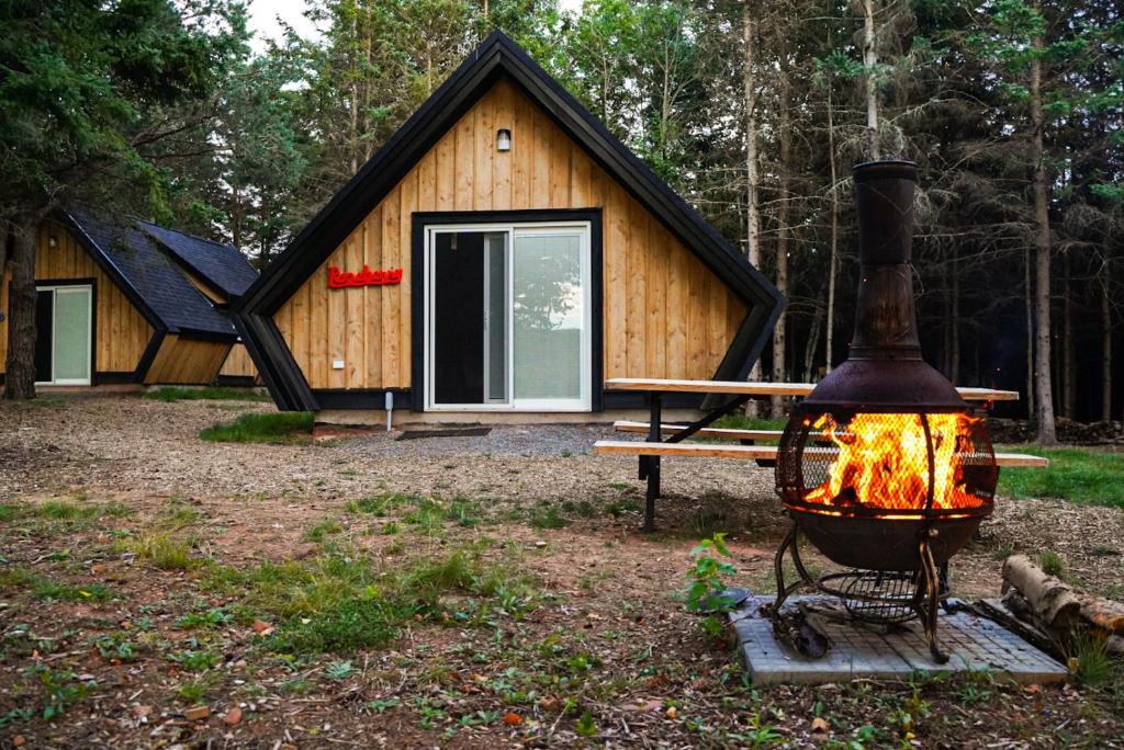 Wild Pines Cabins - Tap to explore photos