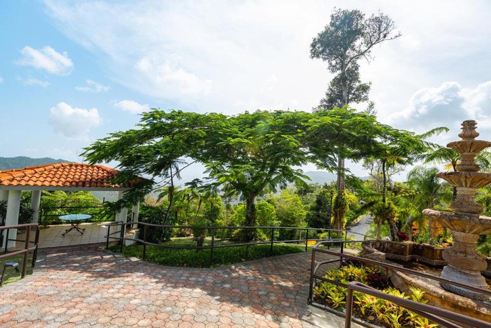 Jajome Terrace photo 3