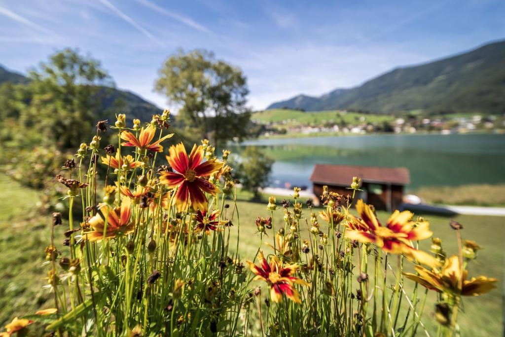 Ticklhof am See photo 1