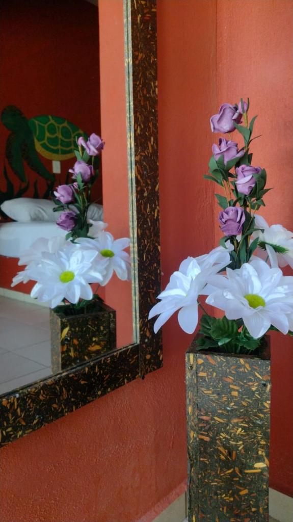 Velaria photo 3