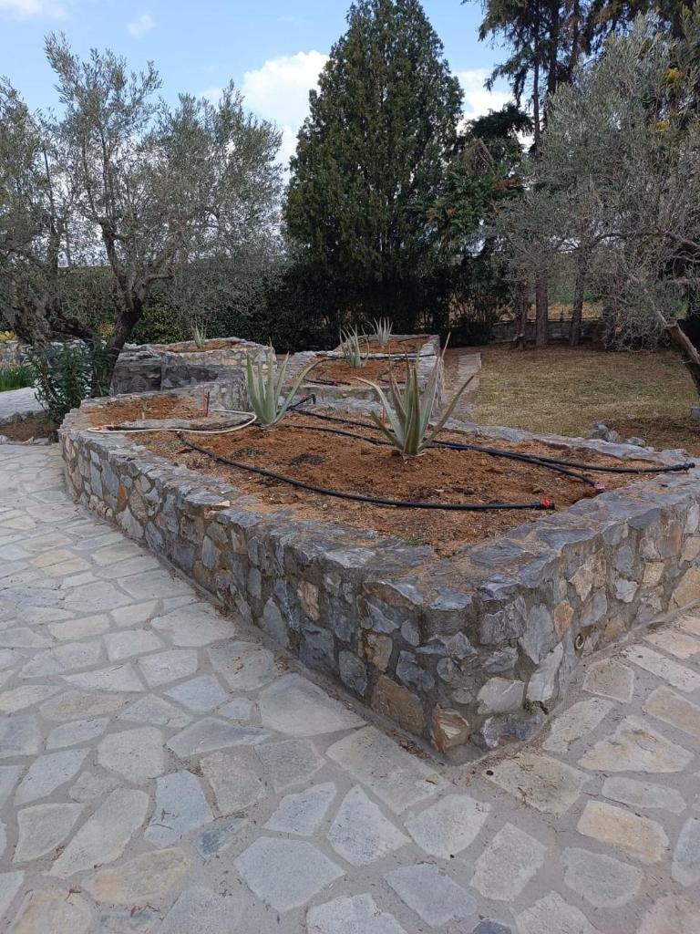 Big house with a huge garden and barbecue area! photo 4