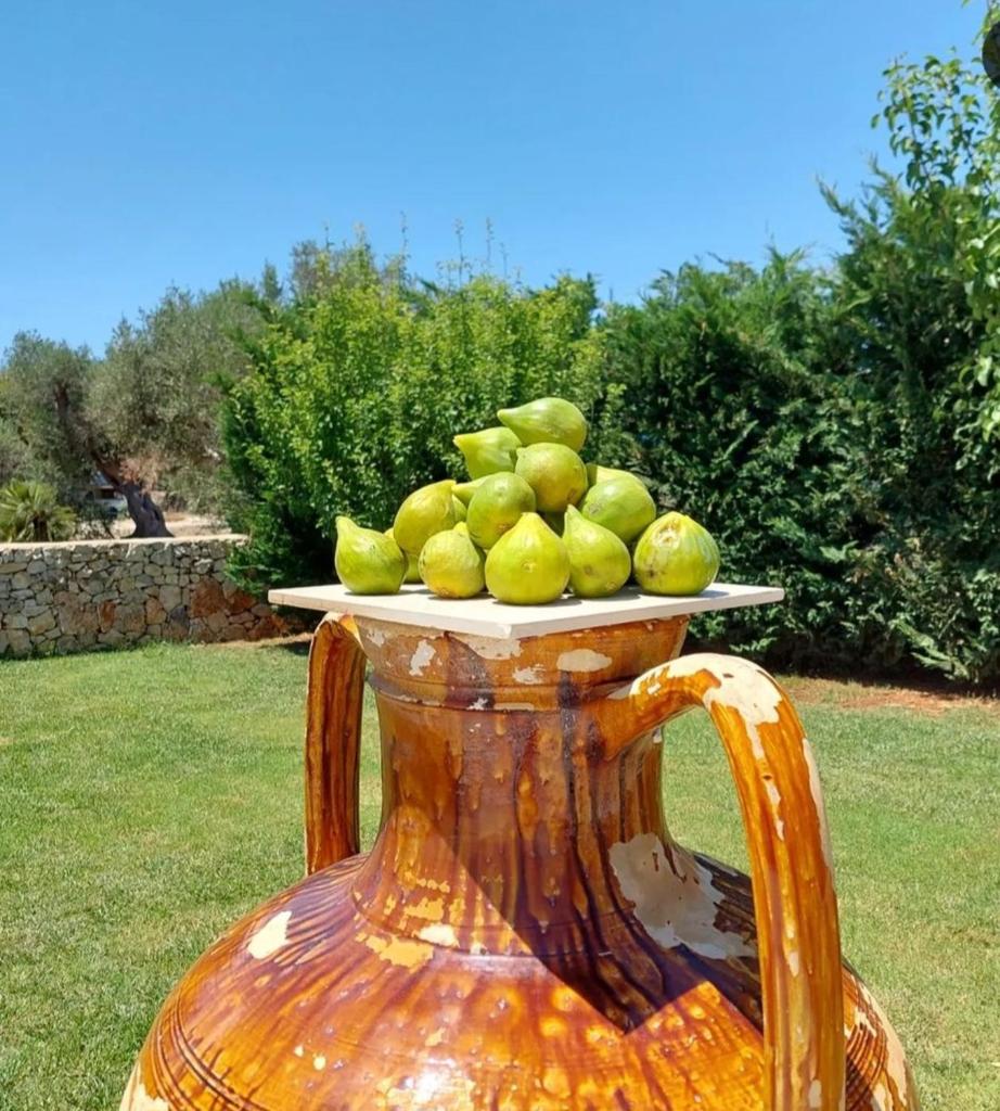 A CASA DI GIUSEPPE photo 1