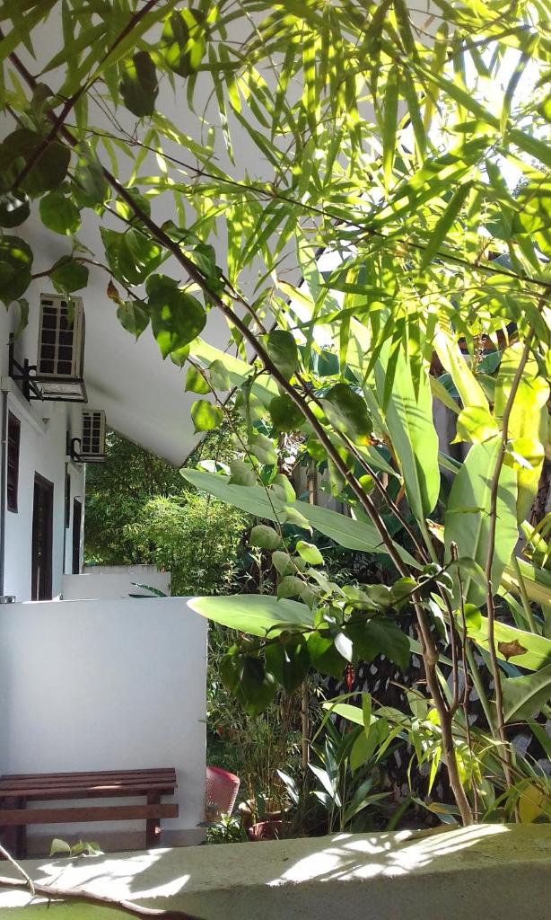 MELATI INN photo 4