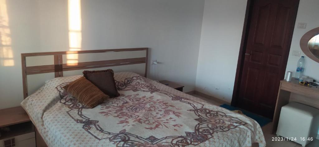The Room of Cultures photo 2