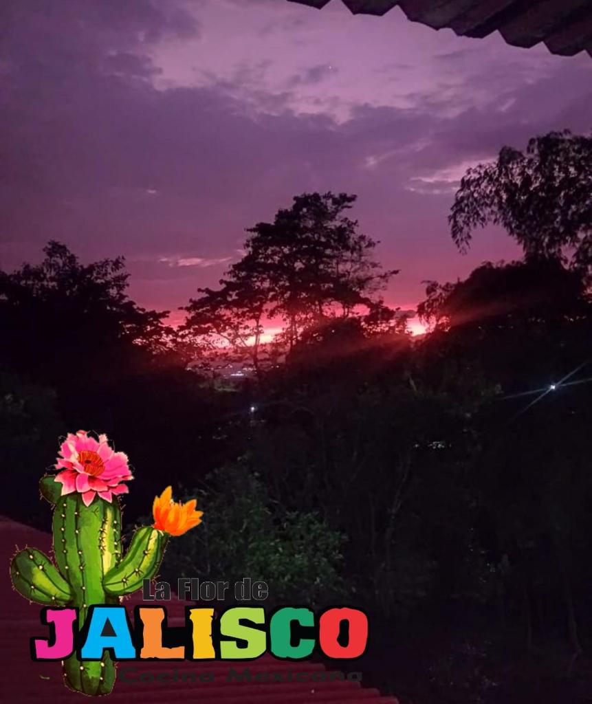 La Flor de Jalisco photo 2
